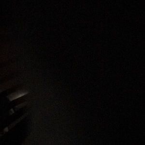 Meet your Posher, Chase